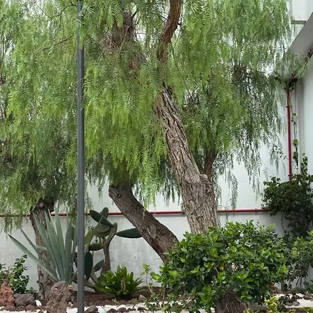 Διαμέρισμα Casa Molly At Garden *
